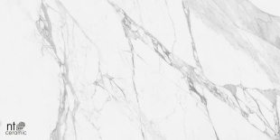 Керамогранит NT Ceramic Marmo Artic statuario Glossy арт. NTT99528P (60x120) полированная